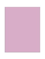 Pacon&reg; Bristol Board - 25 Sheets, 4 Ply - 22" x 28" (56 cm x 71 cm) - Pink