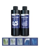 Jacquard&reg; Cyanotype Printing