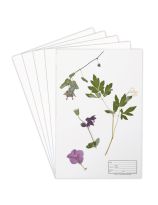 Fiches de montage de plantes