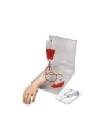 Main de pratique IV Life/form - Pâle