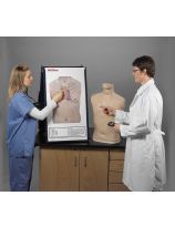 Complete Life/form® Auscultation Training Station
