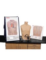 Life/form® Deluxe Auscultation Training Station