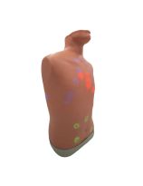 Auscultation Trainer 2.0 - Without iPad