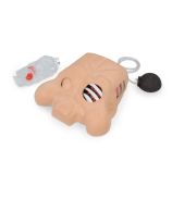 Chest Tube Manikin