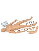 Nursing Kelly Manikin Non-SimPad Capable