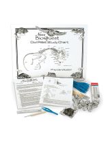 BioQuest Advanced Owl Pellet Kit BioQuest Advanced Owl Pellet Kit