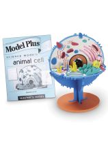 Animal Cell Model