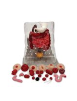 Complete Otto Ostomy Package