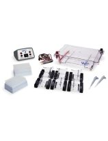 Walter Electrophoresis Stations Classroom Kit