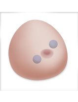 SONOtrain Ultrasound Trainer - Breast Model with Cysts