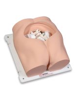 Bonnie Bone Marrow Biopsy Skills Trainer