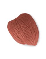 Enhanced 1-lb. Muscle Replica