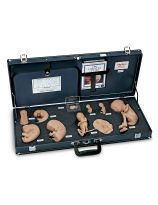 Human Reproduction and Development Kit with DVD