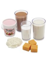 BASIC DAIRY KIT