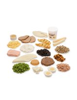 PROTEIN FOOD KIT AND TEARPAD