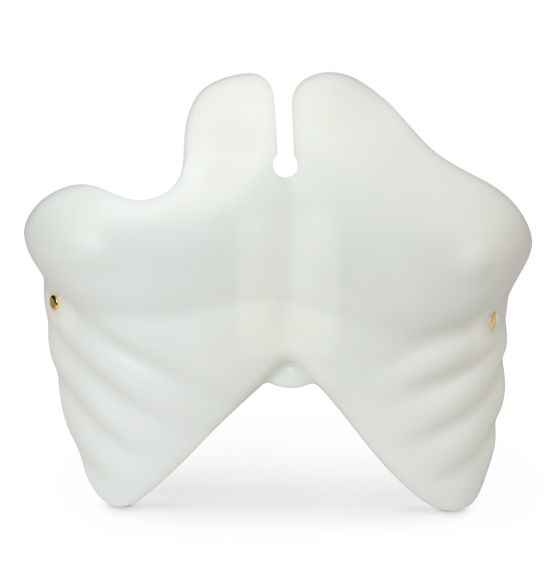 Plaque de poitrine pour mannequins Brad™ et Paul™