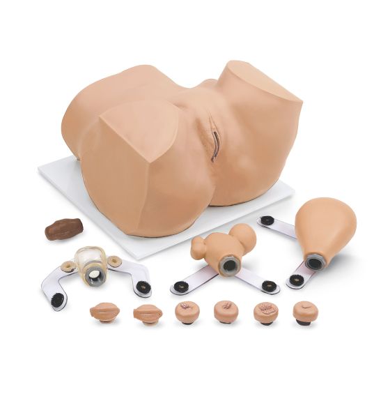 Mannequin EVA de soins gynécologiques