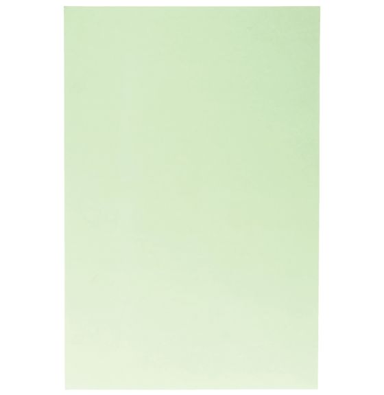  Bristol Board, 2-Ply - 24 Sheets (22" x 28") - Kelly Green