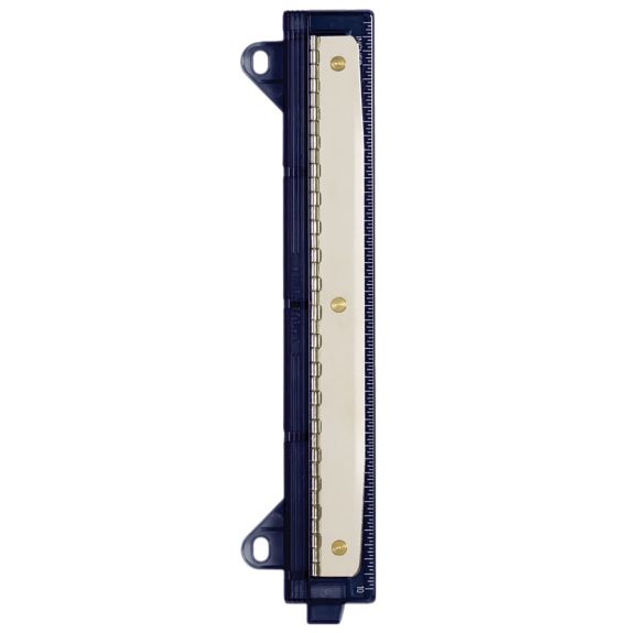 3-Hole Punch Ruler with Microban