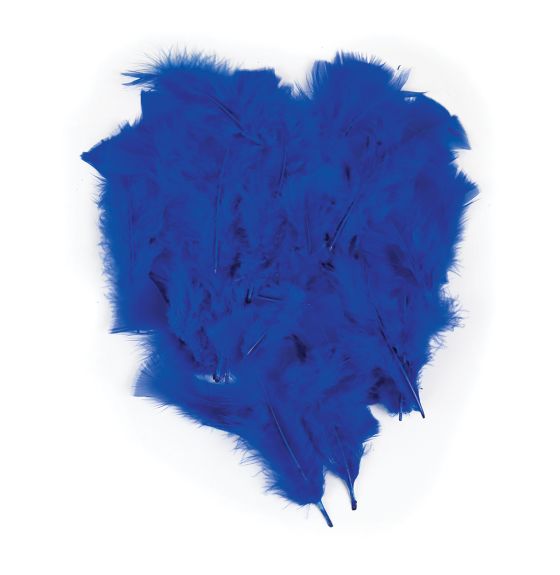 Decorative Feathers, 14g - Blue