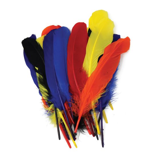 Medium Decorative Feathers - Assorted Colours - Set of 20
