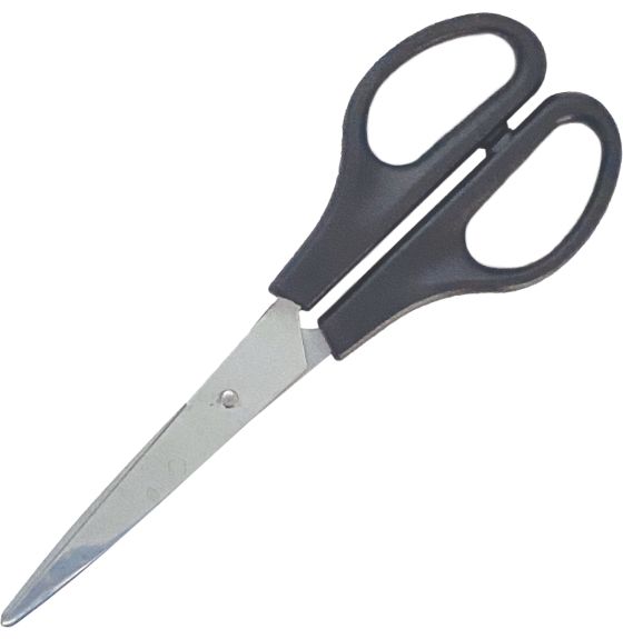 6" Student Scissors - Pointed Blades