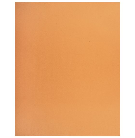 Carton bristol économique, 2 plis, 96 feuilles - 21,6 cm x 28 cm (8,5" x 11") - Orange