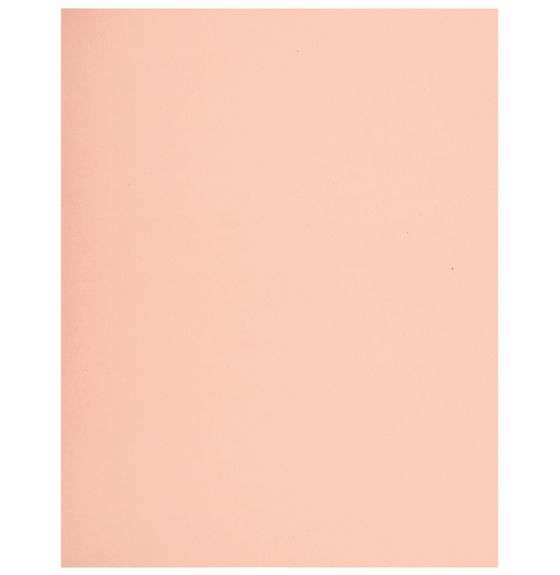 Carton bristol économique, 2 plis, 96 feuilles - 21,6 cm x 28 cm (8,5" x 11") - Rose
