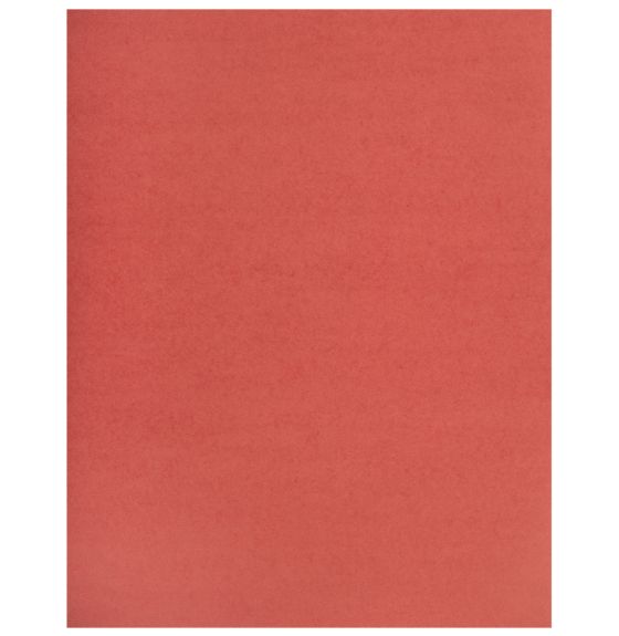 Bristol Board, 2 Ply - 21.6 cm x 28 cm (8.5" x 11") - 96 Sheets - 90 lb - Red