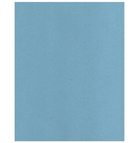 Bristol Board, 2 Ply - 21.6 cm x 28 cm (8.5" x 11") - 96 Sheets - 90 lb - Light Blue