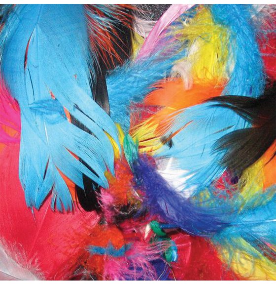 Assorted Colour Feathers - 100 g