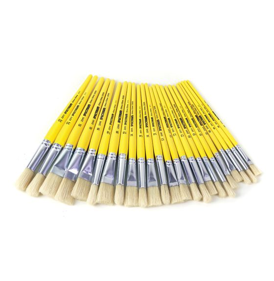 Ensemble de 24 pinceaux ronds et plats assortis Spectrum en soies de porc, à manche court,  pour débutants