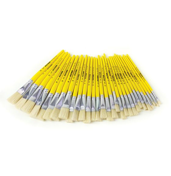 Spectrum Assorted Junior Hog Flat Brushes - Set of 30