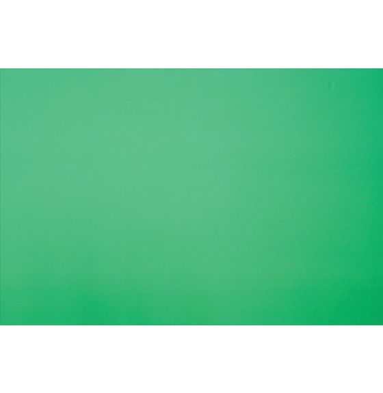 Carton mousse de 50,8 cm x 76,2 cm - Vert/blanc - Paquet de 10