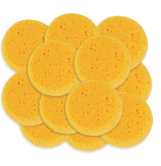 Synthetic Sponges - Pack of 12
