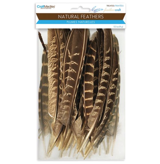 Craft Medley™ Natural Feathers - 8 g Assorted Package