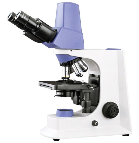 Microscope numérique Infinity, modèle 1008D5