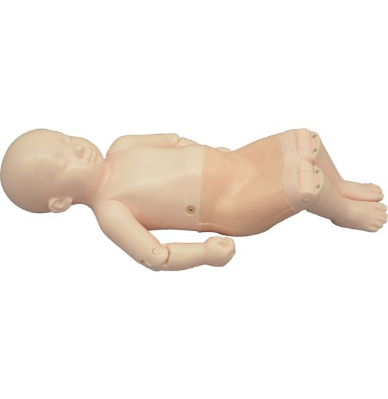 Infant Hip Sonography Training Phantom