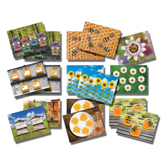 Cartes de comptage - Abeilles