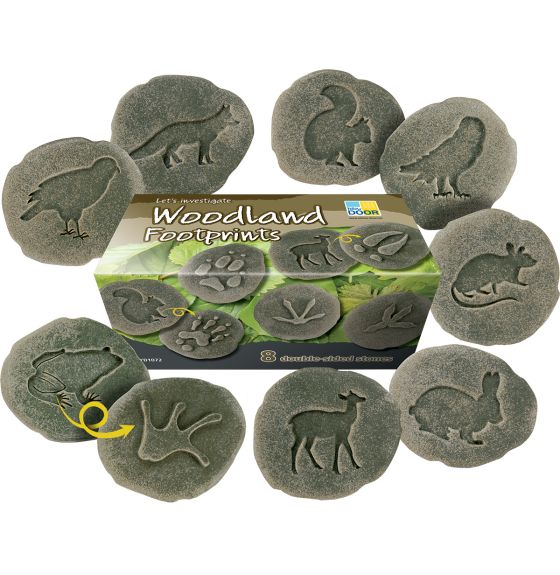 Let's Investigate - Woodland Footprints