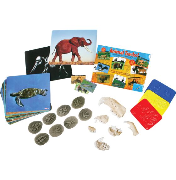 Spectrum's Animal Investigation Kit
