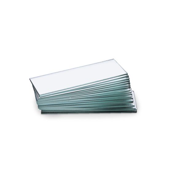 Glass Microscope Slides, 144 pk
