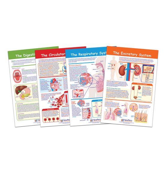 Ensemble d’affiches NewPath Learning®: Besoins énergétiques et transport (en anglais)