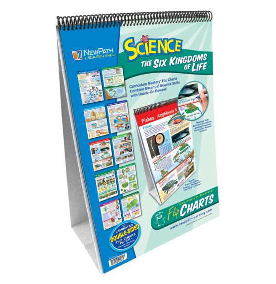 Ensemble d'affiches Curriculum Mastery® de NewPath Learning®: Les 6 règnes du monde vivant (en anglais)