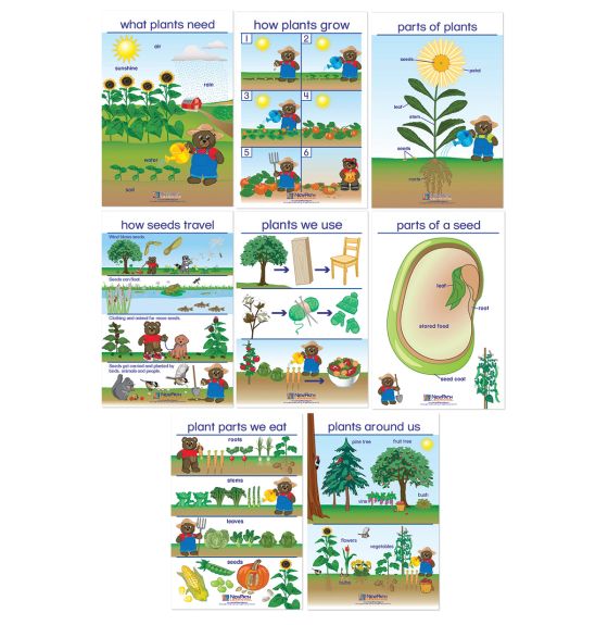 All About Plants Bulletin Board Charts - Set of 8