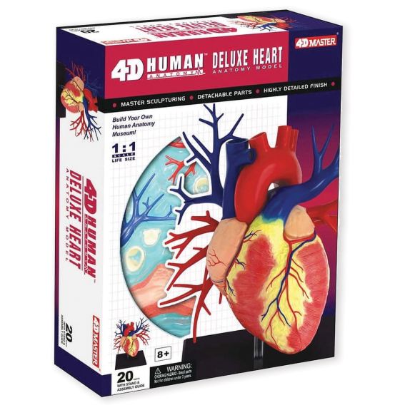 4D Human Anatomy Deluxe Heart