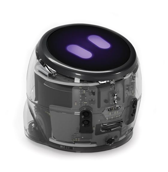 Ari d'Ozobot® - Ensemble d'initiation à la robotique
