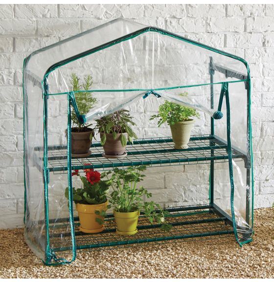 Serre "pouce vert" pour la classe