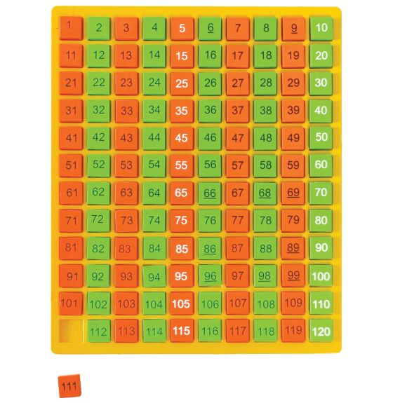 Counting Tray with Foam Counters