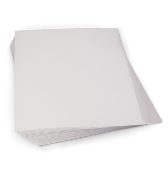 Nasco "Thrifty Buy" Poster Board Special - 22" x 28", 18 pt.